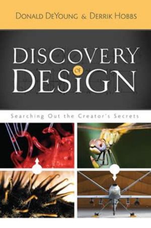 Discovery of Design